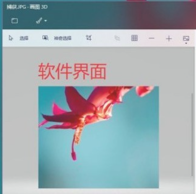 如何使用画图3D？画图3D入门教程截图