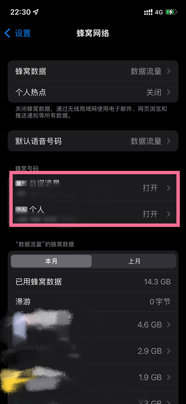苹果12手机5G转4G设置界面