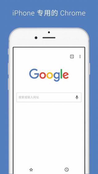谷歌浏览器截图