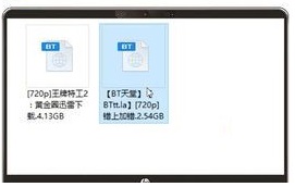 bt种子怎么用?bt种子的使用方法截图