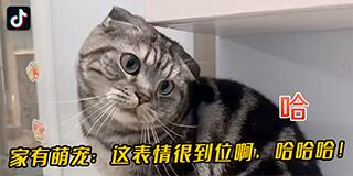抖音官网已正式上线 网页版入口分享截图