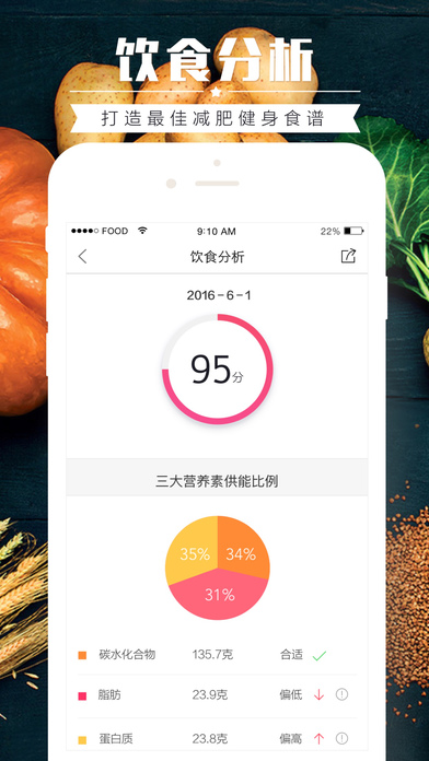 食物派截图