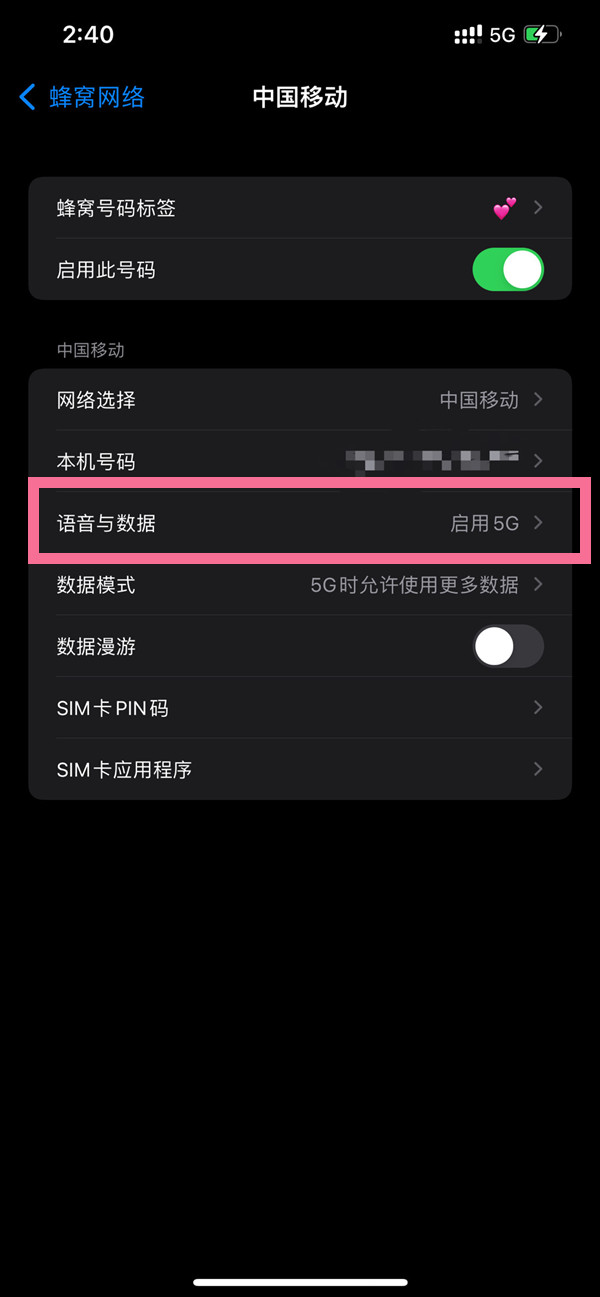 苹果12手机5G转4G设置选项