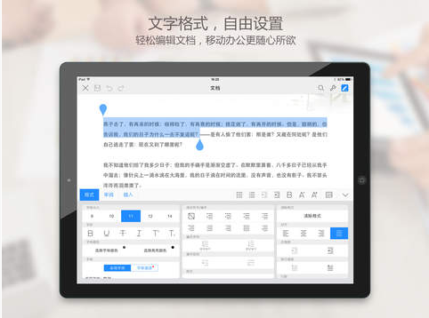 WPS office截图