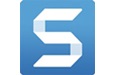 TechSmith SnagIt 2020