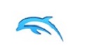 Dolphin64位版(海豚模拟器)