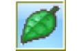 单词万花筒