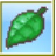 单词万花筒