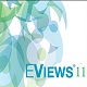 eviews11