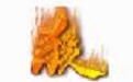 太阳神三国杀鹊桥版