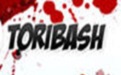 Toribash