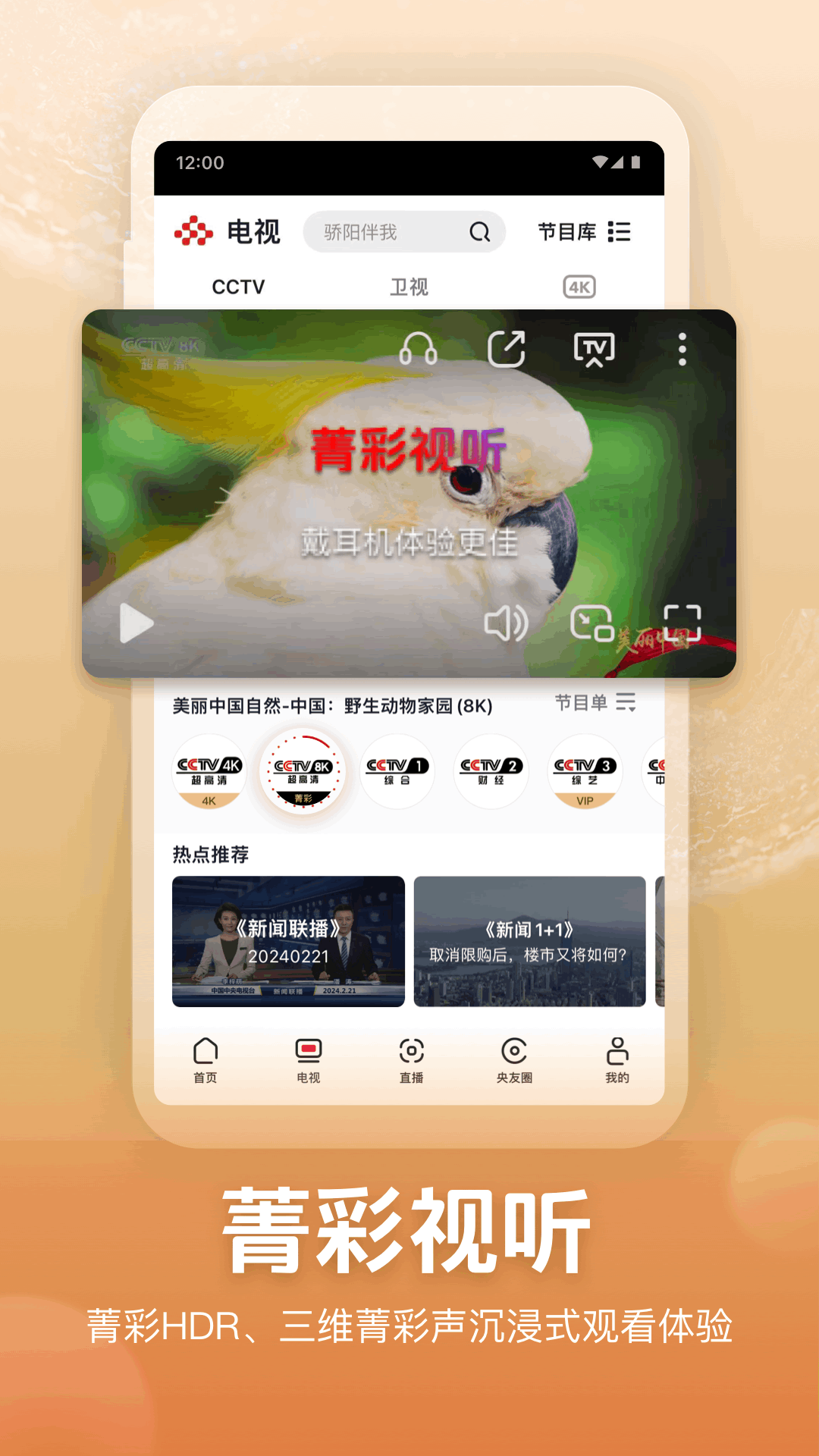 央视频截图