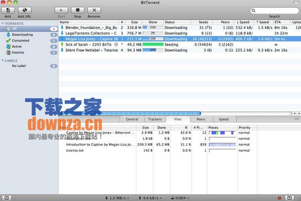 Bittorrent for mac