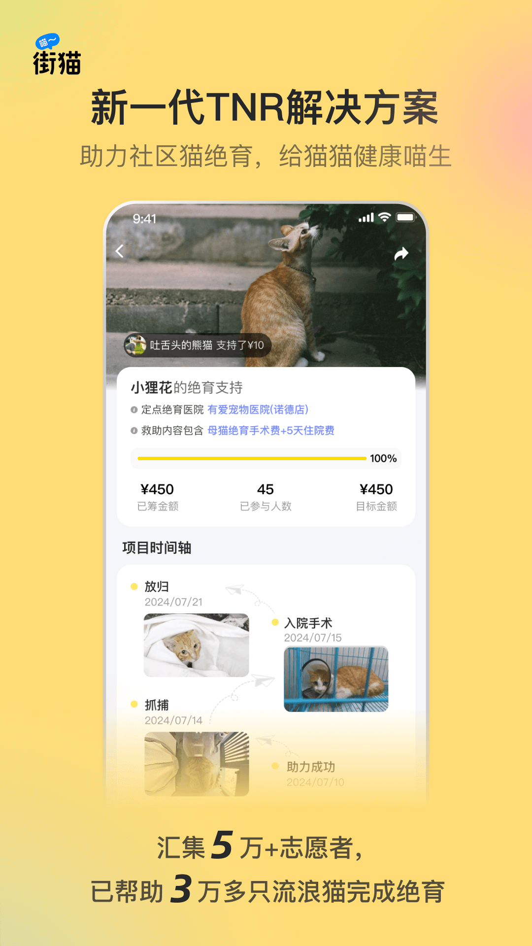 街猫应用界面