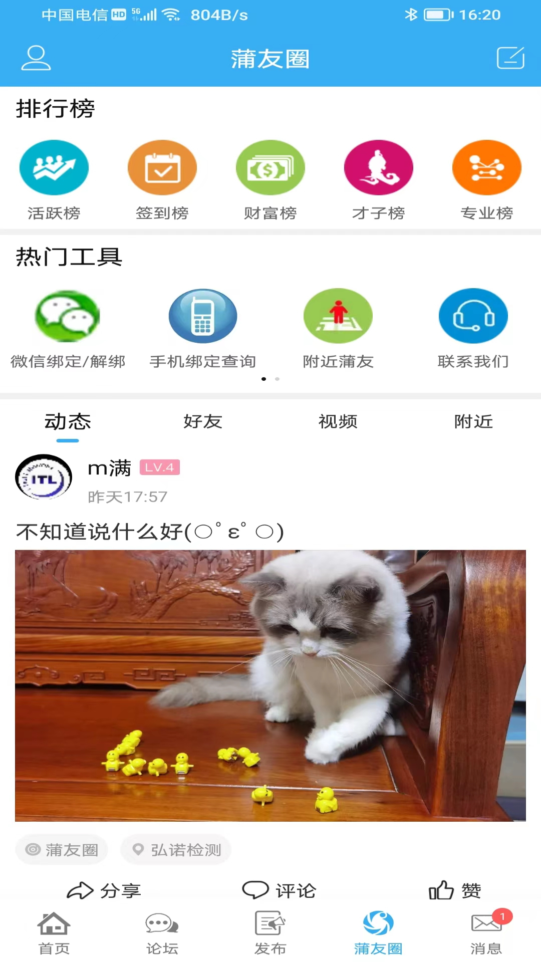 蒲公英论坛截图