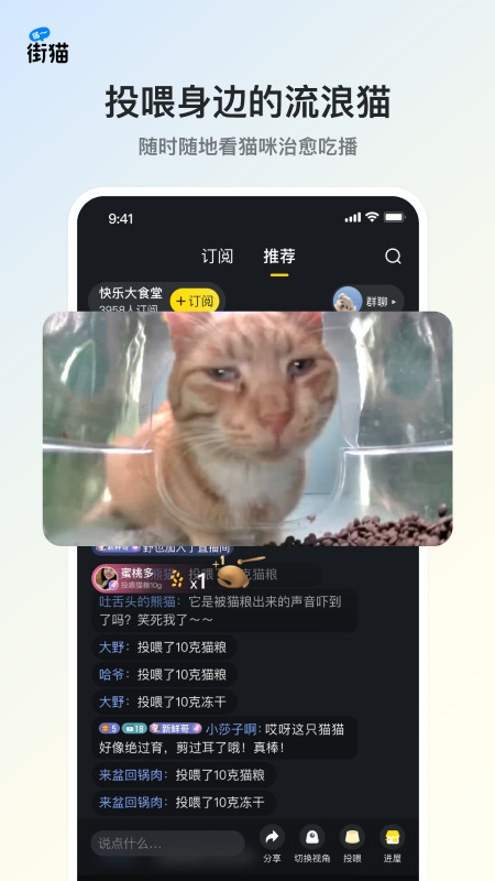 街猫应用界面
