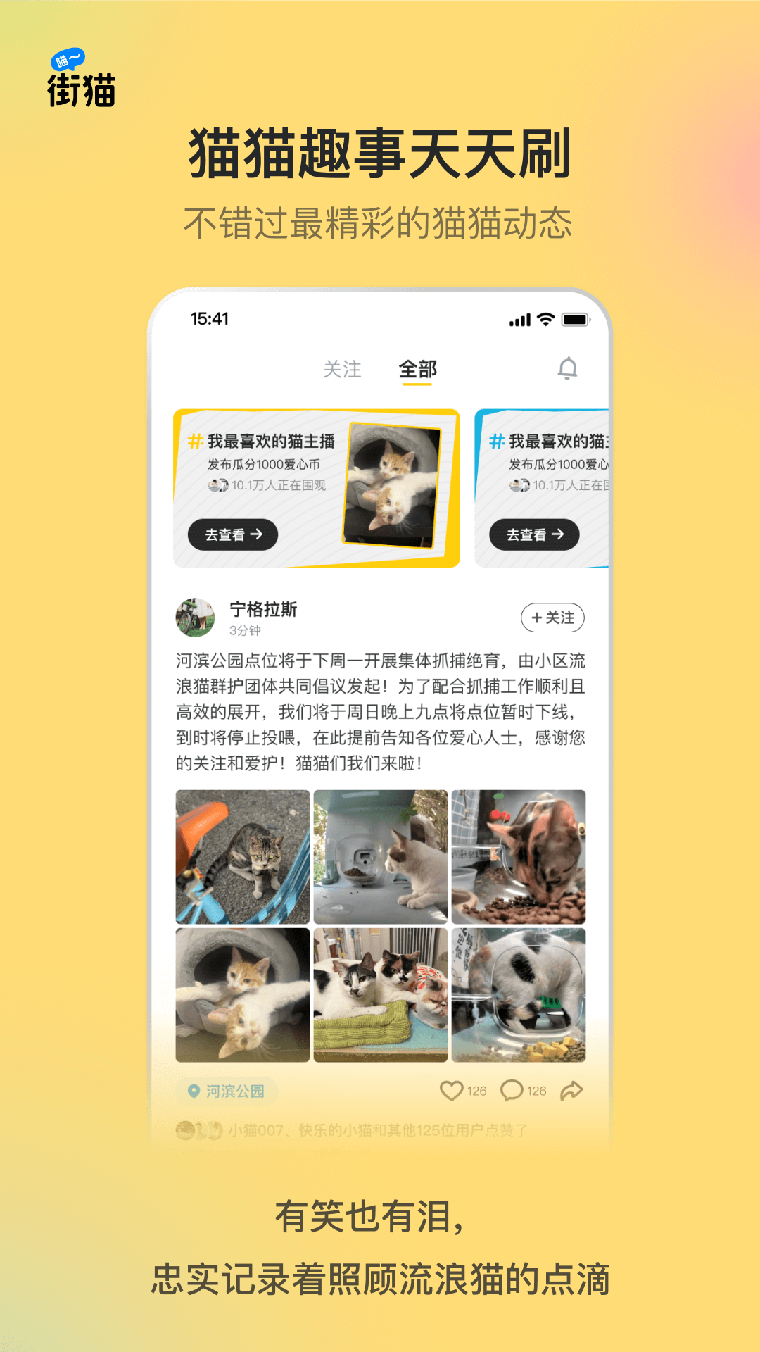 街猫应用界面