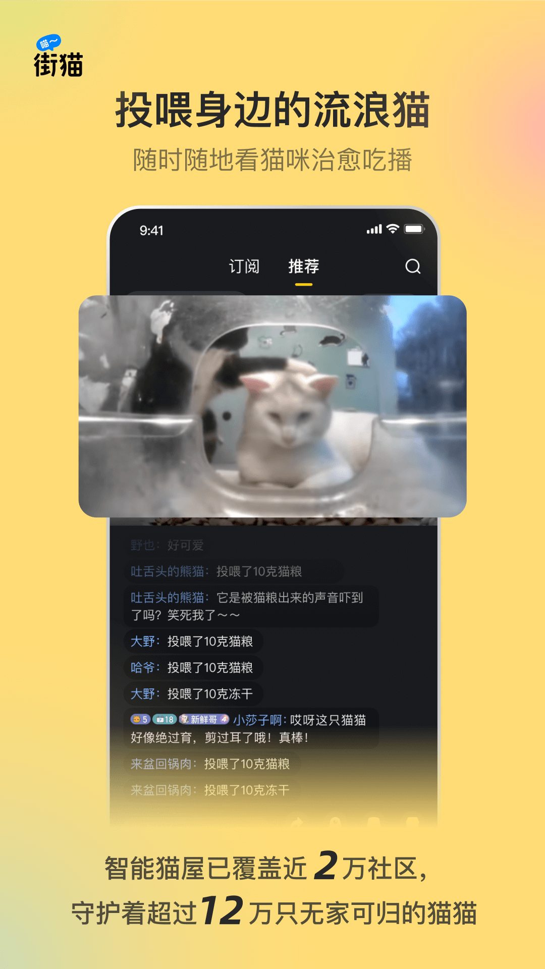 街猫应用界面