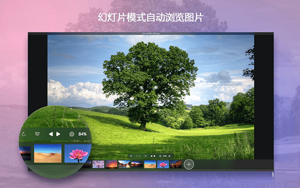 预览效果展示