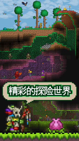 泰拉瑞亚1.3国际版游戏截图
