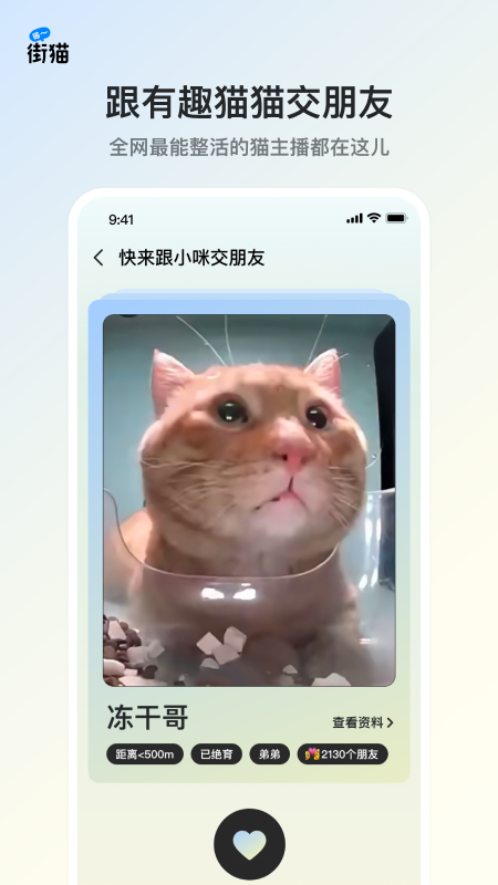 街猫应用界面