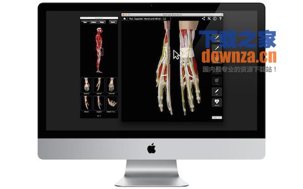 Hand & Wrist Pro III with Animations for mac