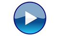 LionPlayer