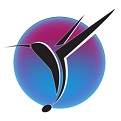 Colibri