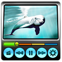 Desktop Movie Player