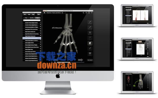 Hand & Wrist Pro III with Animations for mac截图