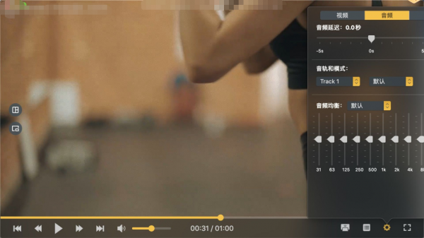 OmniPlayer Pro截图