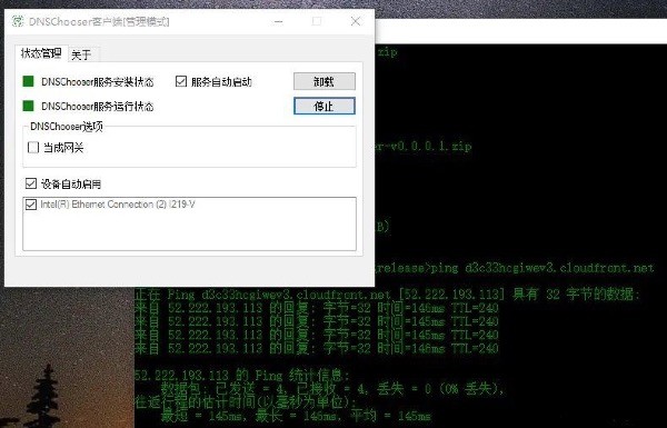DNS Chooser软件界面
