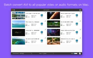 iFunia AVI Converter for Mac截图