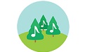 Pine Player