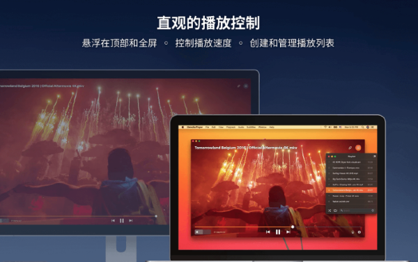 Elmedia Video Player Pro软件界面