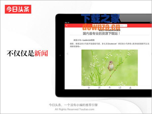 今日头条iPad版截图