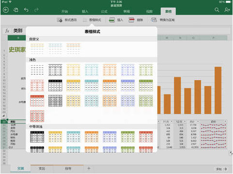 Excel iPad版截图
