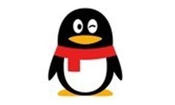 QQ2025