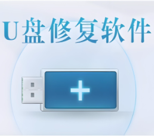 万能u盘修复工具