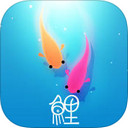 鲤iPad版截图