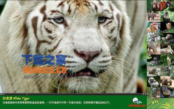 濒危动物for mac