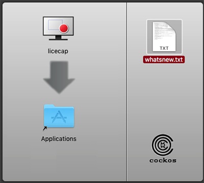 LICEcap截图