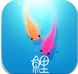 鲤iPad版截图