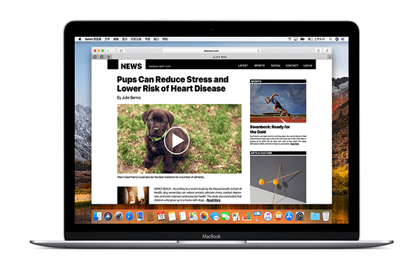 Safari Mac版截图