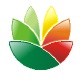 Logo设计软件(Exim