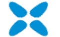 xvid解码器