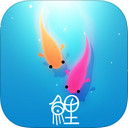 鲤iPad版截图