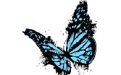 TVP Animation Pro