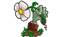 植物大战僵尸