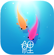 鲤iPad版截图